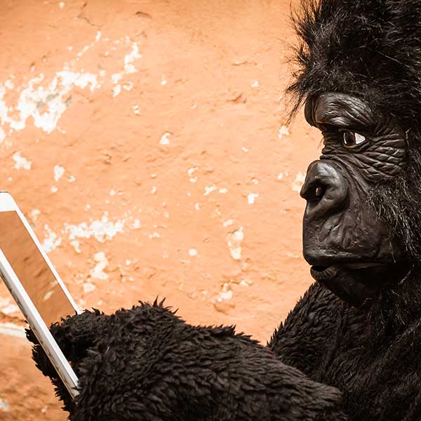 A man wearing a gorilla costume pointing at a glass tablet against a weathered wall.