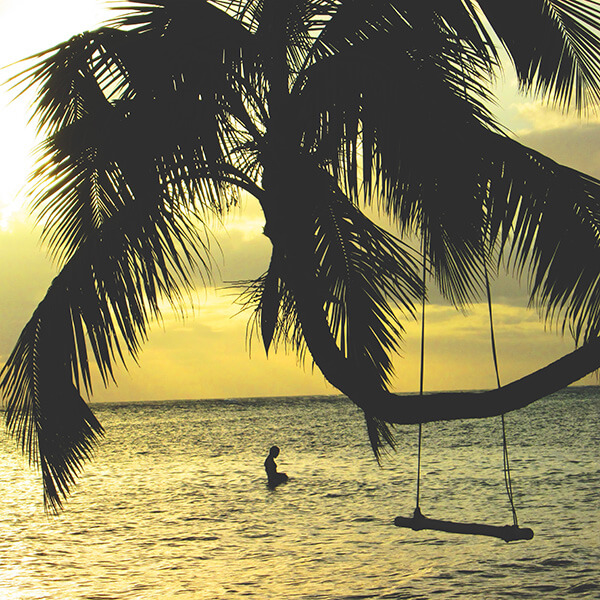 A palm tree with a wooden swing and a man swimming above the ocean.